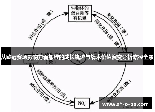 从欧冠赛场影响力看加维的成长轨迹与战术价值演变分析路径全景